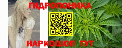 индика Балашиха