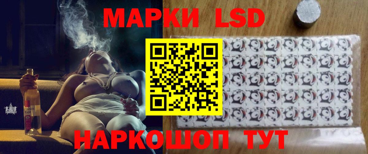 МДМА Дмитров