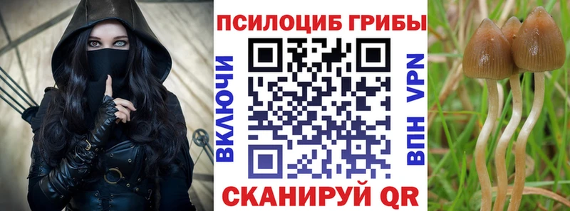 Галлюциногенные грибы Psilocybine cubensis  hydra зеркало  Дмитров 