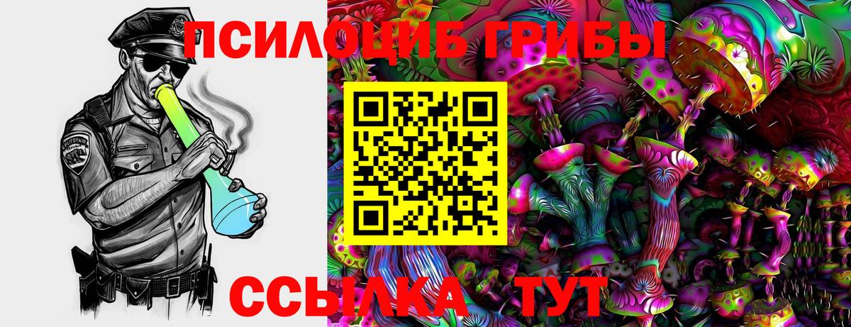 Псилоцибиновые грибы мухоморы Дмитров