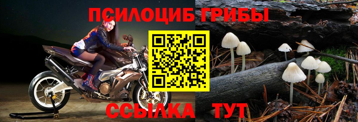 Псилоцибиновые грибы прущие грибы  Дмитров 